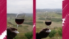 Consumo del vino