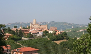 Immagine L'annata viticola 2020