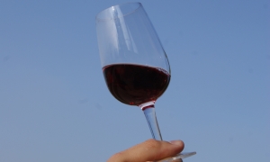 Immagine Il colore dei vini rossi: una dote ricercata tra estetica ed identità