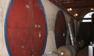 Immagine Vinificazione in rosso: dal 1934 ... a domani