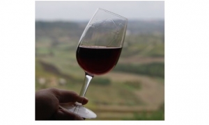 Immagine Alla scoperta della qualità perduta